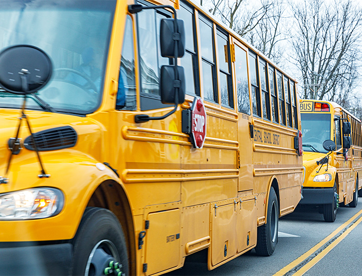 Buses