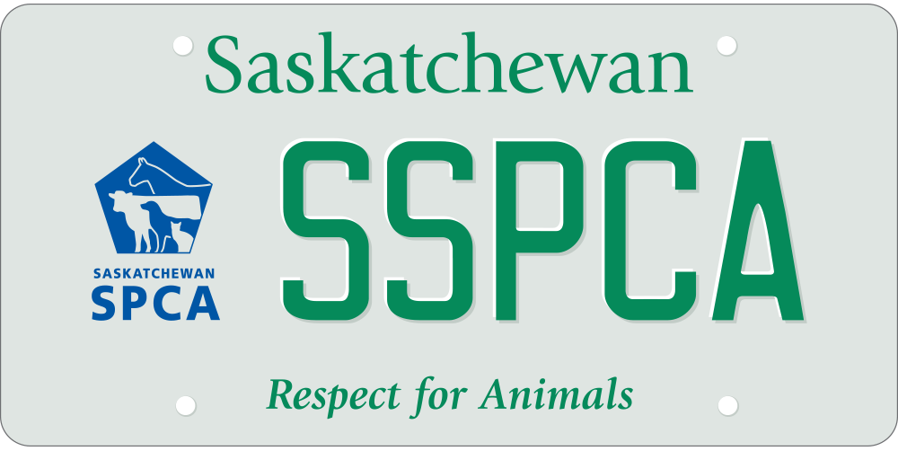 Specialty and personalized plates SGI