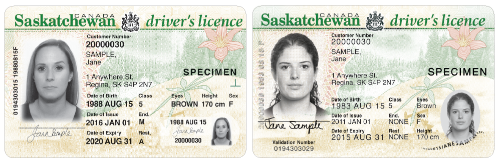 Latvia Fake Driver License - Buy Scannable Fake Ids Online